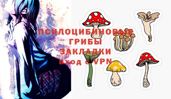 ПСИЛОЦИБИНОВЫЕ ГРИБЫ Богородск