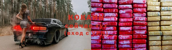ПСИЛОЦИБИНОВЫЕ ГРИБЫ Богородск