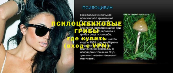кокаин Богданович