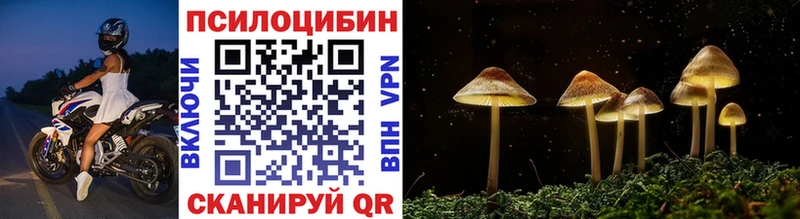 закладка  Наволоки  гидра   Галлюциногенные грибы Psilocybe 